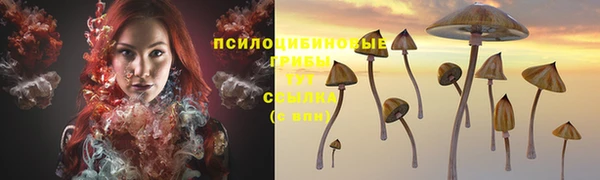 дмт Аркадак