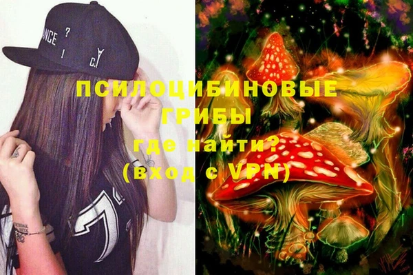 шишки Алексеевка