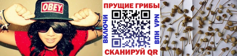 Галлюциногенные грибы мухоморы  blacksprut ссылки  Ханты-Мансийск 